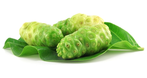 Noni fruits with leaf on white background